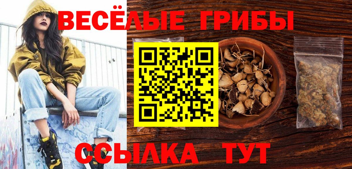 Псилоцибиновые грибы GOLDEN TEACHER Валуйки